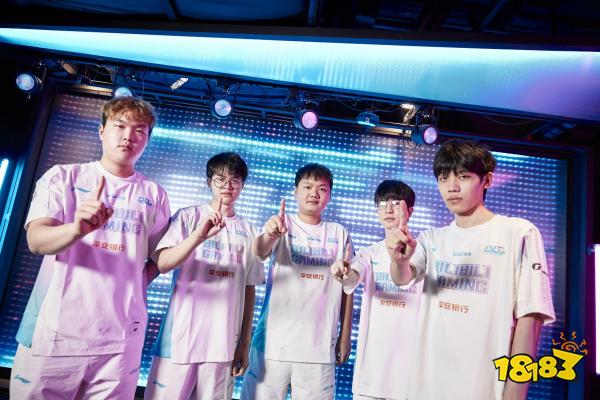 样化的能力 样化的能力