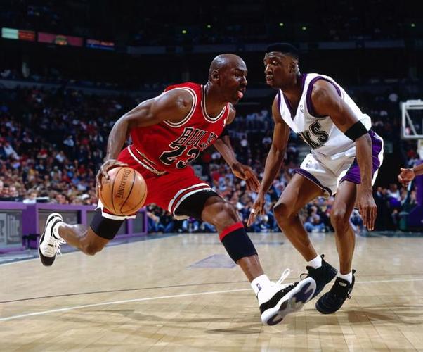 垃圾处理系 垃圾处理系